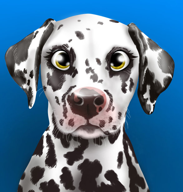一只达尔马提亚小狗的手绘肖像图片下载