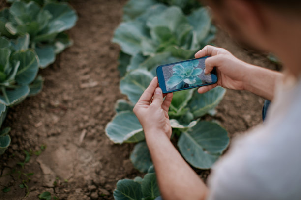 田野里的农民，在拍摄他的庄稼图片下载