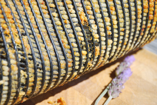 蜂箱中的花粉图片下载