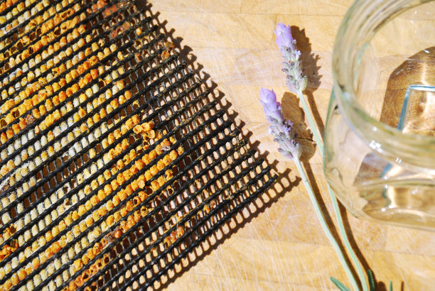 蜂箱中的花粉图片下载