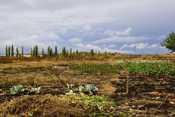 秋收季节图片下载