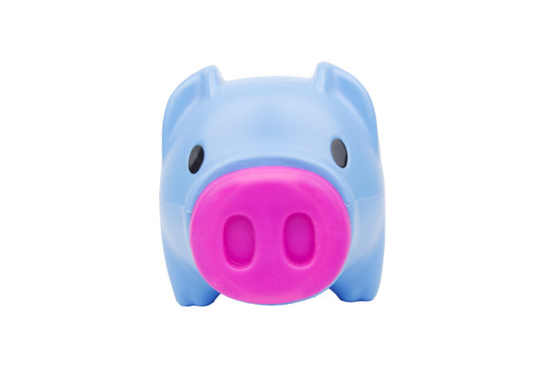 蓝色小猪和粉红色的鼻子在白色的背景与裁剪路径图片下载