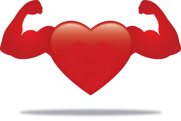 心脏肌肉图标图片下载