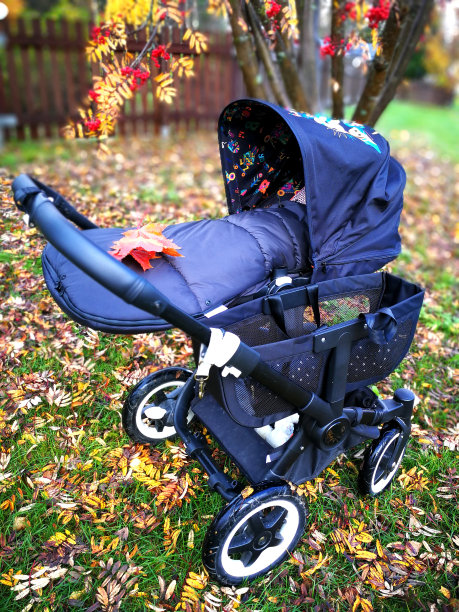 秋天的婴儿车图片下载