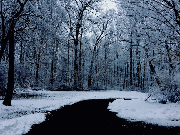 风景优美的道路进入白雪覆盖的树林。图片下载