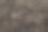 干红茶叶背景。宏观照片图片下载