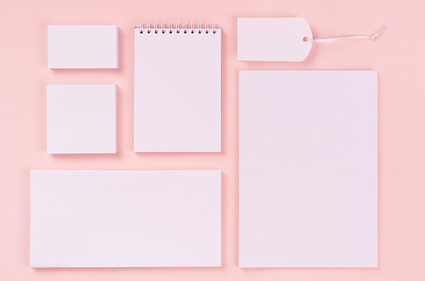 企业身份模板与白色文具设置在柔和的粉红色背景。模拟品牌、商业演示和作品集。图片下载