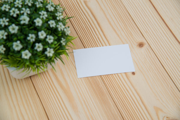 空白名片和小装饰树在白色花瓶在木制的工作桌上与复制空间添加文本ID。和商标，商业公司的概念。图片下载