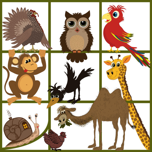 动物组。矢量图图片下载