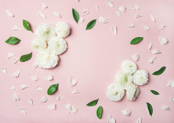 花的背景与毛茛花图片下载