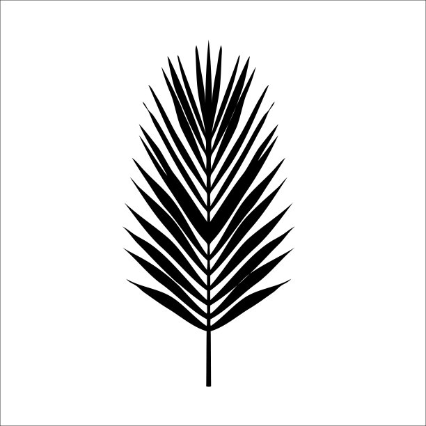 无缝彩色棕榈叶。平的风格。黑色和白色。素材图片