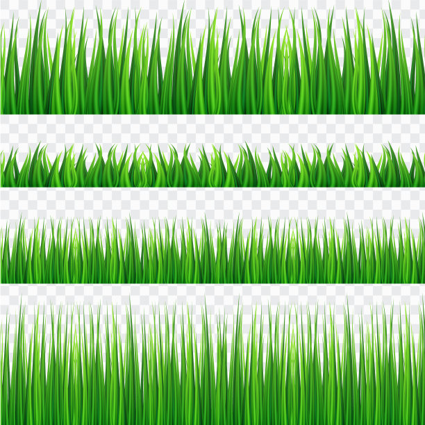 白色背景上的绿色草地边界矢量素材图片下载
