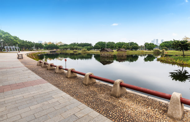 中国广州的湿地公园图片下载