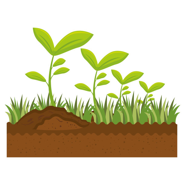 可爱的花园植物栽培图片下载