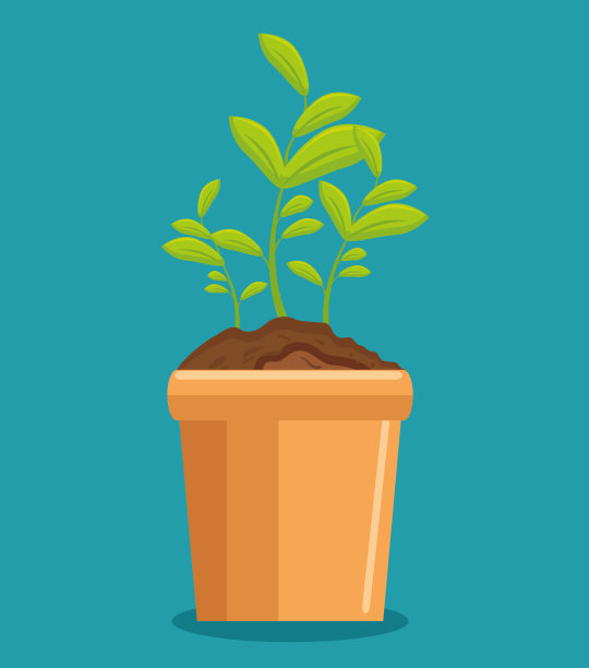 可爱的花园植物栽培图片下载