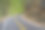 通往自然森林的路图片下载