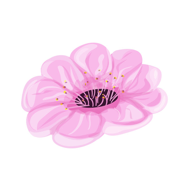 樱花粉色的花图片下载