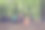 壁炉的低角度照片，四个宁静的游客坐在周围，女孩喝茶，男孩弹吉他和打开罐头商品，不错的绿色木材的看法图片下载