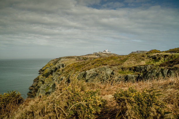安格尔西岛的海岸线图片下载