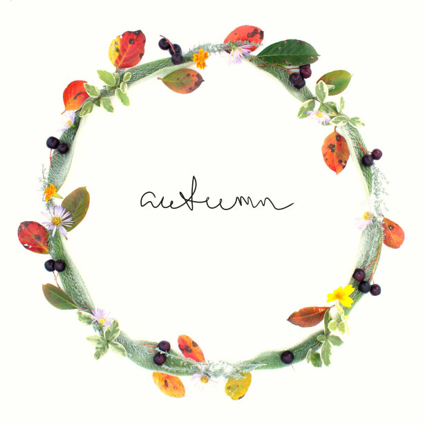 秋天圆框架花环的秋天的叶子，花和浆果与手写的题词'秋天'孤立在白色的背景。平躺，俯视图图片下载