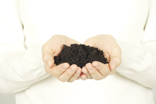 地球上的手图片下载