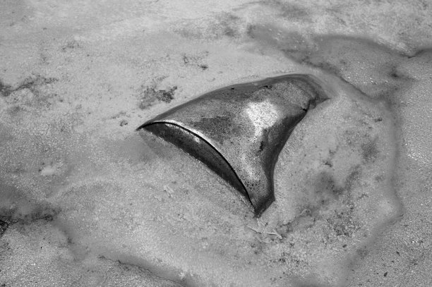 锈迹斑斑的金属桶从沙土中伸出来，挡住了肮脏的液体。黑白图像。图片下载