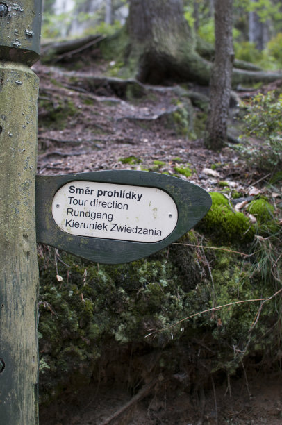 森林里为游客准备的木制标志图片下载