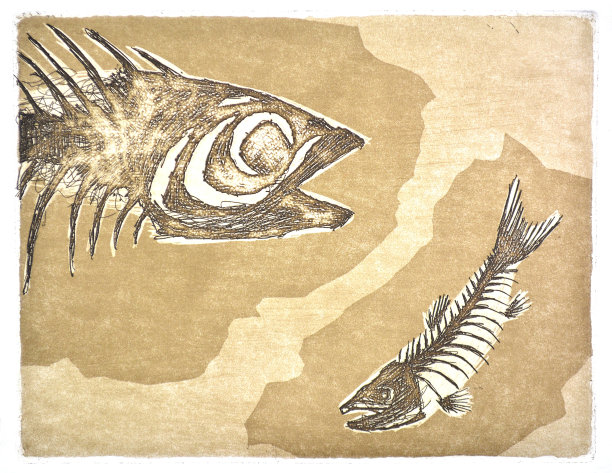 抽象的“化石”素材图片