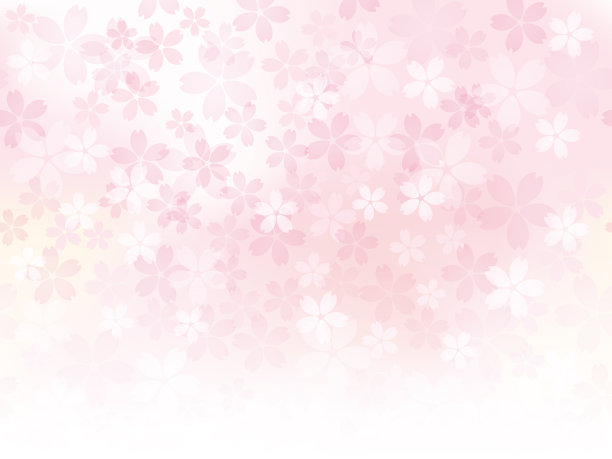 无缝矢量背景插图与樱花盛开。图片下载