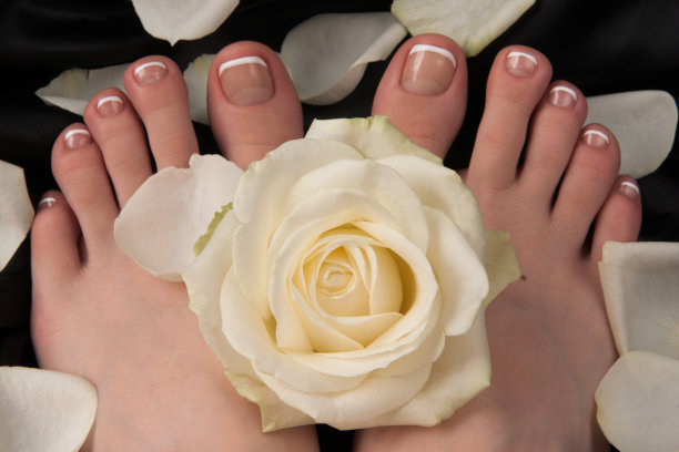 用白玫瑰做足疗图片下载