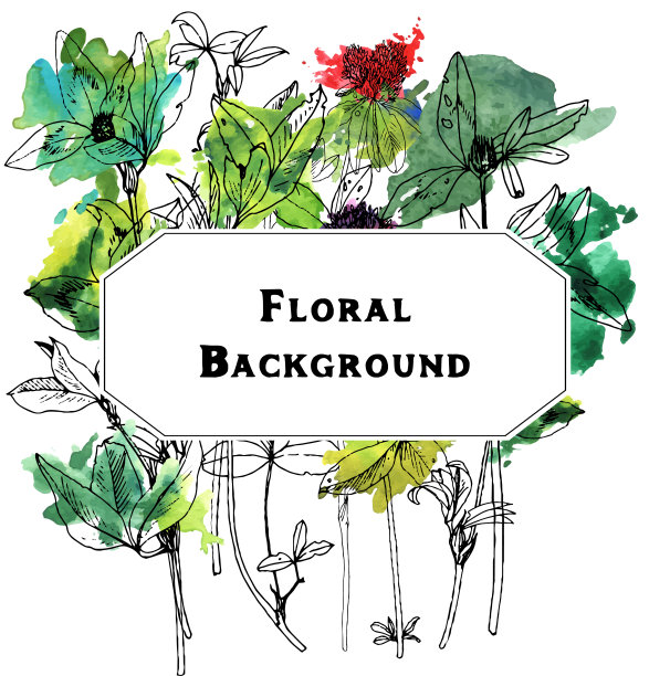 背景与绘制草本和花卉图片下载