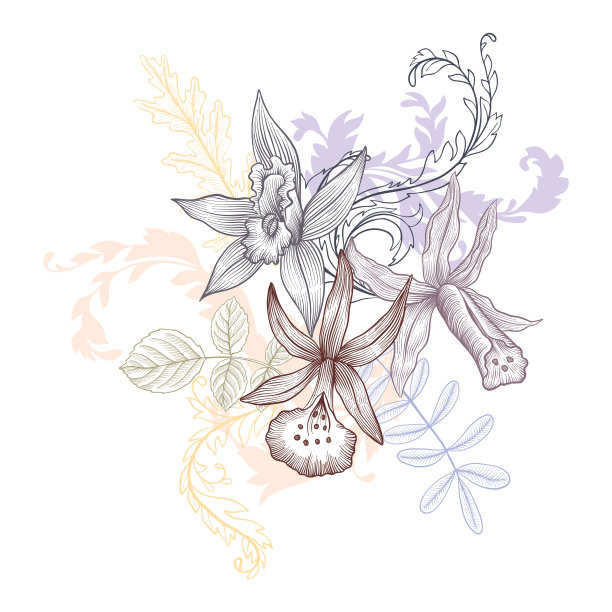 复古矢量花卉构成图片下载