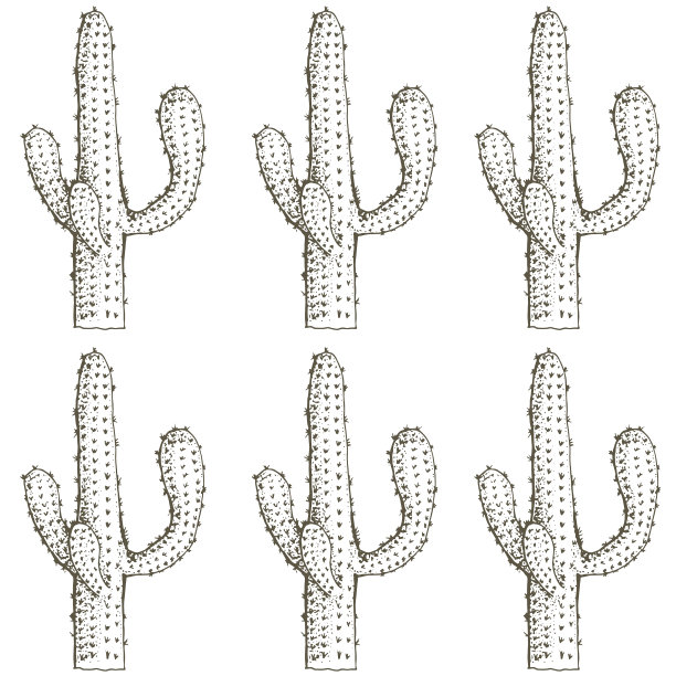 自然无缝图案与手绘仙人掌。盛开的墨西哥沙漠植物。素材图片