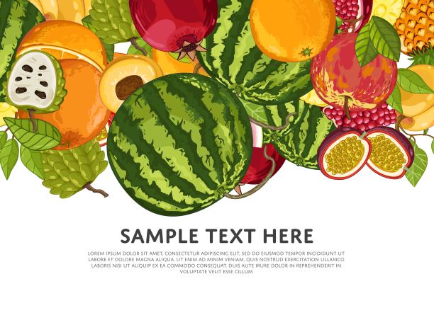 水果和叶子混合在白色的背景上图片下载