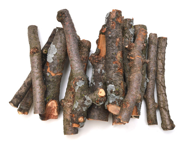 枝上木火白图片下载