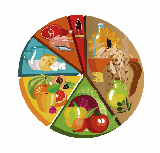 食物金字塔饼状图图片下载