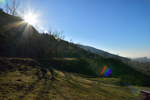 森林景观的早晨图片下载