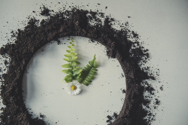 地球的小时素材图片