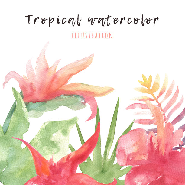 水彩热带树叶花卉横幅夏季装饰卡片插画图片下载