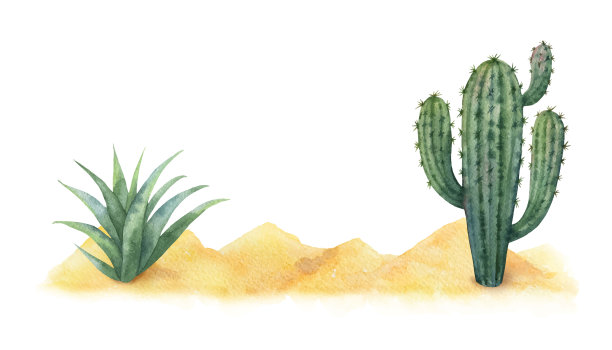 水彩矢量背景与沙漠和仙人掌。图片下载