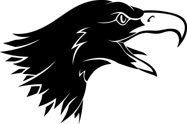鹰头侧面图图片下载