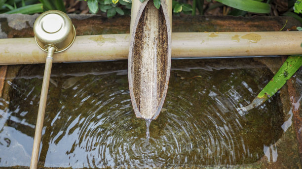 水从竹子上滴下来的特写镜头。图片下载