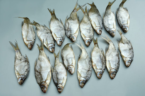 咸鱼干，河豚。桌上有食物。小吃,啤酒。业余和工业捕鱼。图片设计图片下载