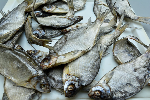 咸鱼干，河豚。桌上有食物。小吃,啤酒。业余和工业捕鱼。图片设计图片下载