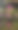 睡莲科花素材图片