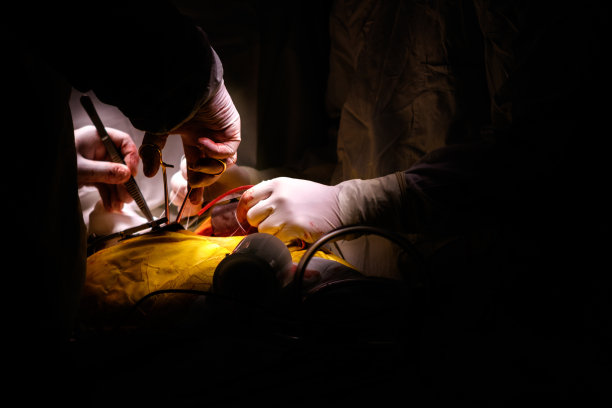 冠状动脉搭桥术期间的外科医生和麻醉师图片下载