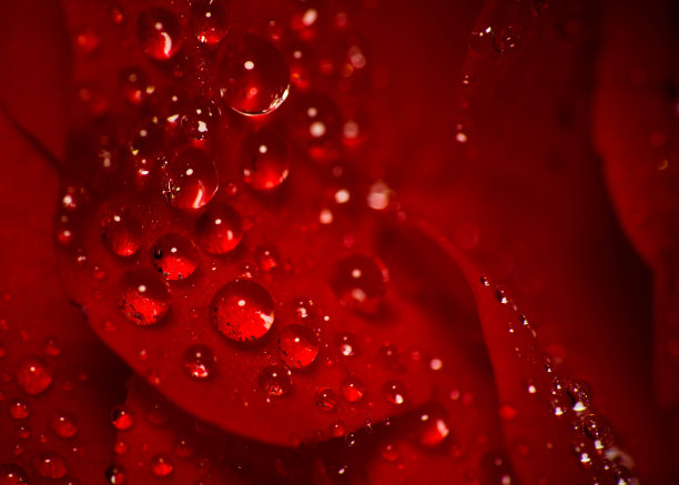 特写镜头下降图片下载