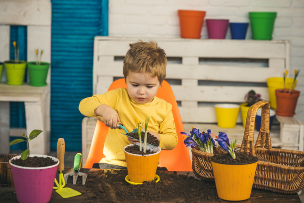 儿童保育盆栽植物。年轻的园丁在肥沃的土壤和新花盆中移植一株植物。花盆的家。孩子的爱好是五彩缤纷，热爱大自然，室内植物。婴儿用黄色图片下载