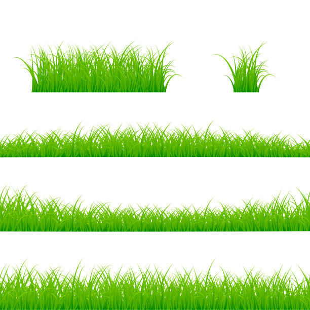 草边界集。草植物全景。矢量插图孤立在白色背景图片下载