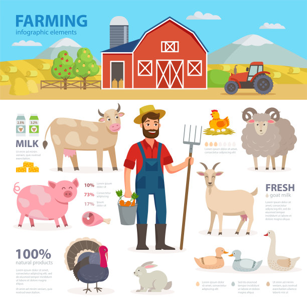 农业信息图表元素。农民，农场动物，设备，谷仓，拖拉机，景观大型矢量平面插图孤立在白色背景。生态农业的概念。图片下载